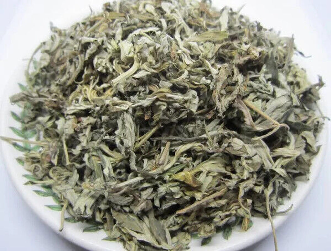 Organic Chinese Mugwort Dried Leaves - Artemisia Argyi 1 Oz. Herb US SELLER!