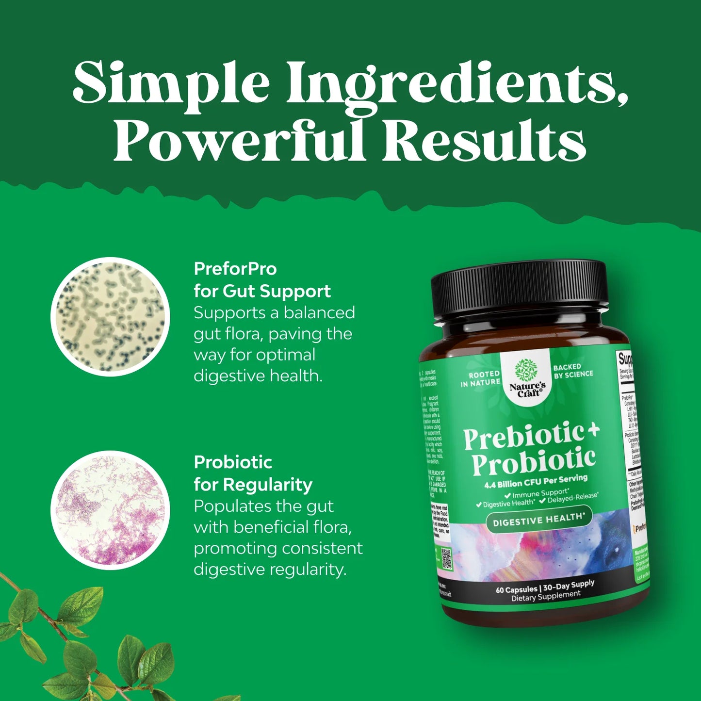 Prebiotics and Probiotics Gut Health Supplement - Super Potent Digestive Health Acidophilus Probiotic Capsules with Men and Womens Probiotics and Prebiotics for Colon Digestive Support and Immunity